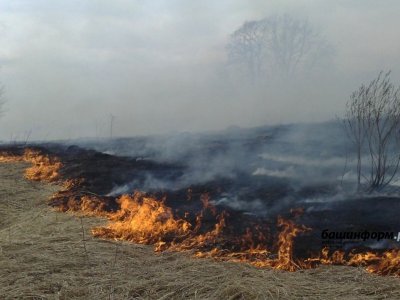 Жительница Башкирии устроила пожар на 10 млн рублей: ее оштрафовали на 50 тысяч рублей