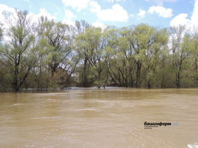 Небольшая вода: почему в Башкирии в последние годы нет сильных весенних паводков?