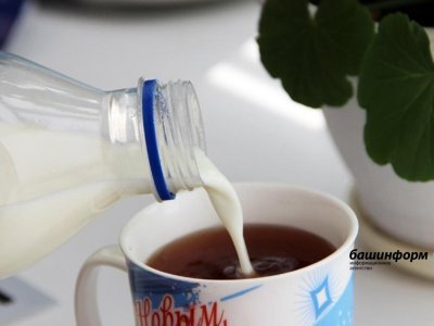 В Башкирии за семь месяцев произведено почти полмиллиона тонн молока