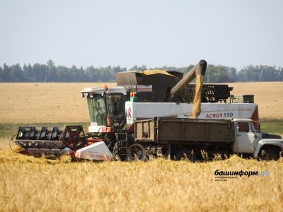 Аграрии России получат 2 млрд рублей федеральных средств на транспортировку сельхозпродукции
