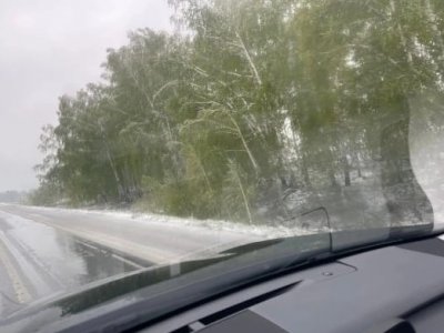 На юге Башкирии с утра выпал снег