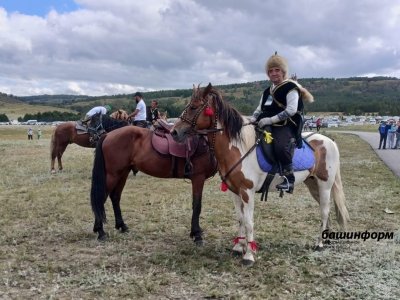 В Башкирии создадут НИИ башкирской лошади