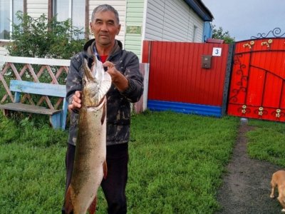 В Абзелиловском районе Башкирии поймали гигантскую щуку