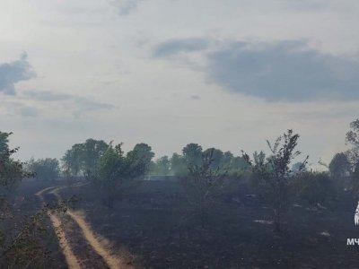 Глава Башкирии в аномальную жару поручил  «удержать ситуацию с пожарами»