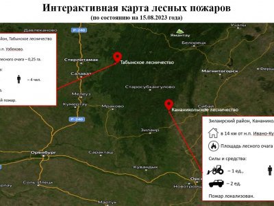 На территории Башкирии за сутки зарегистрировано три очага лесных пожаров