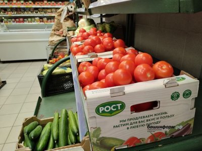 В Башкирии продукты подорожали за год на 2,8%