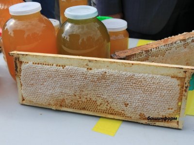 Башкирия должна производить не менее 35 тысяч пчелопакетов в год - минсельхоз