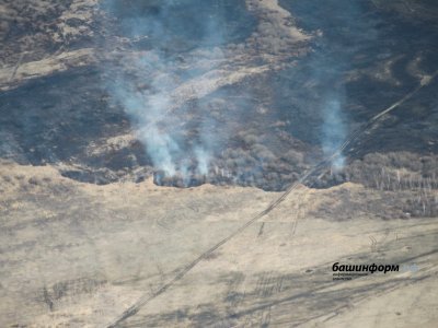 На сегодняшний день в Башкирии зафиксировано три лесных пожара