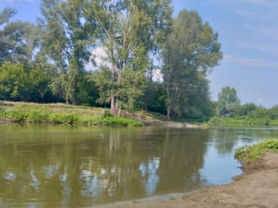 В Башкирии 9-летняя девочка утонула в реке Дема