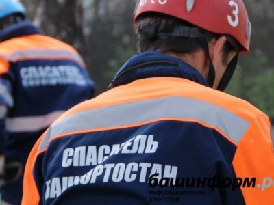 В Башкирии спасатели нашли заблудившихся в лесу туристов