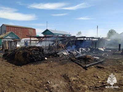 Жертвой пожара в деревне Башкирии стал 21-летний мужчина