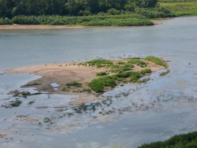 Притоки реки Уфимки в районе Павловского водохранилища Башкирии упали в 2 раза — эксперт