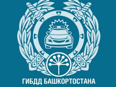 На трассе Магнитогорск-Ира произошло смертельное ДТП