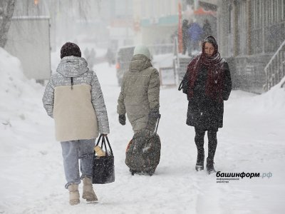 После обильных снегопадов Башкирию накроют сильные морозы