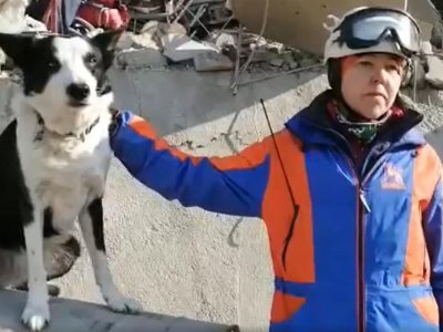 Собака-спасатель Торин из Уфы обнаружил двоих живых людей под завалами в Турции
