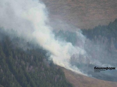 В Башкирии за сутки огнеборцы потушили один лесной пожар