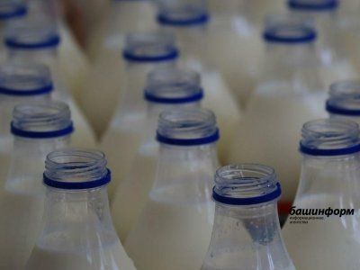 Башкирия более чем в два раза нарастила экспорт молочной продукции в Казахстан