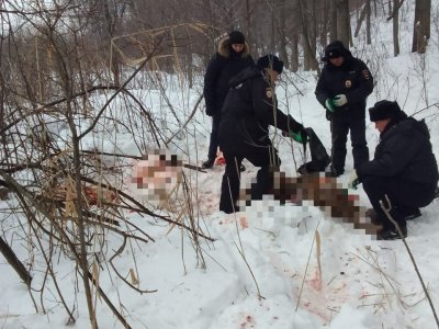 В Башкирии егерь нашел браконьера по следам на снегу