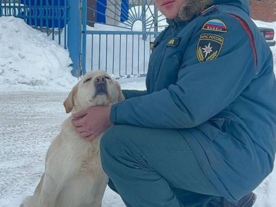 В Башкирии пожарный приютил собаку погорельцев
