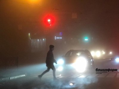 МЧС по Башкирии предупреждает о сильном тумане