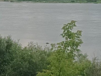 В Бирском районе в реке Белой утонул пожилой мужчина