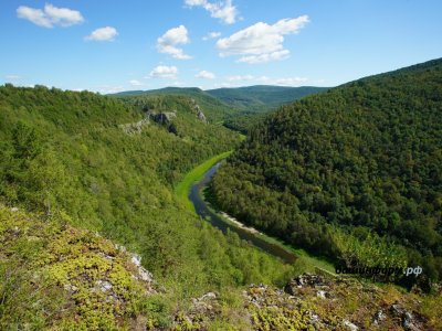 Госдума приняла закон, регулирующий строительство лыжных трасс, троп и дорожек в лесах