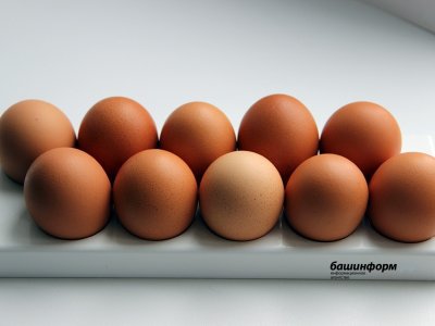 Владимир Путин объяснил причину роста цен на яйца