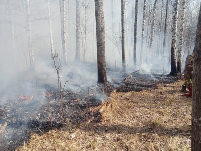 В одном из районов Башкирии горит лес
