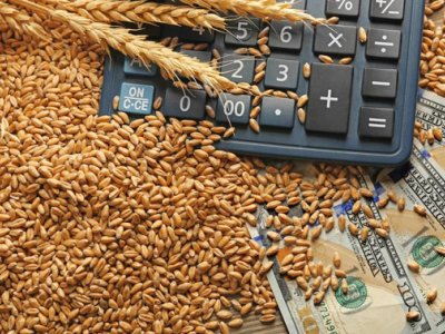 В Башкирии предлагается сократить субсидии производителям незастрахованного зерна