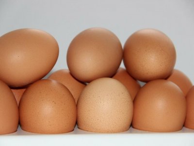 Дефицита куриных яиц в магазинах республики  из-за «птичьего гриппа» нет – минторг Башкирии
