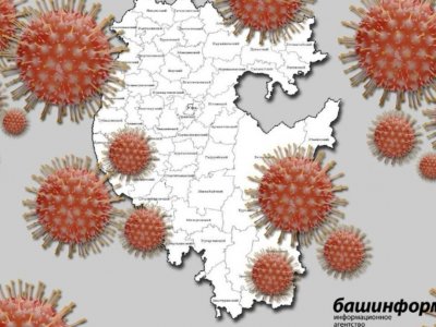 За сутки COVID-19 заболели 237 жителей Башкирии