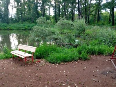 Болото превратили в озеро: жители Башкирии своими руками создали зону отдыха у родного села