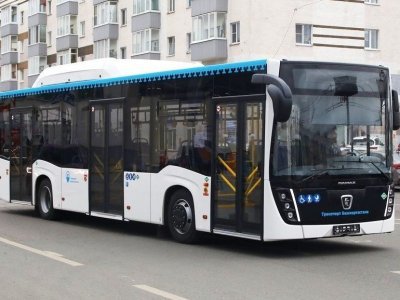 В Башкирии закупят еще 20 автобусов для междугородних маршрутов