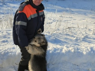 Спасатели освободили собаку, обреченную на холодную смерть