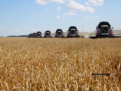 Урожай в 4 млн тонн зерна должен быть для нас рядовым событием - Глава Башкирии