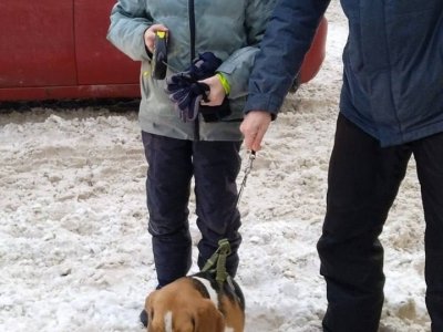 В Уфе спасатели пришли на помощь 10-летнему мальчику и его собаке