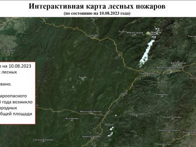 В Башкирии за сутки лесных пожаров не зарегистрировано - госкомитет по ЧС