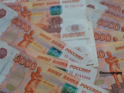 Башкирия занимает 4 место в России по сумме поддержки компаний на «доращивание» бизнеса