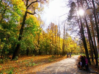 Синоптики дали прогноз погоды на октябрь в Башкирии