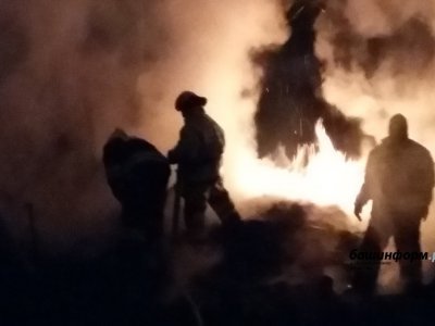 В Башкирии с начала года на пожарах погибли 214 человек