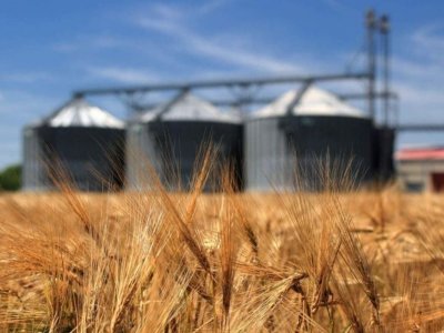 Валовой объем произведенной в Башкирии сельхозпродукции вырос на 25 процентов