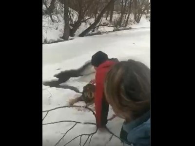 Житель Башкирии спас провалившуюся под лед собаку