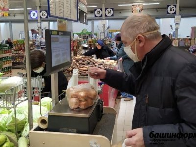 Башкирия вносит весомый вклад в обеспечение продовольственной безопасности России — эксперт