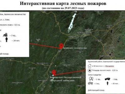 В Башкирии удалось локализовать два очага лесных пожаров в Белорецком и Бурзянском районах