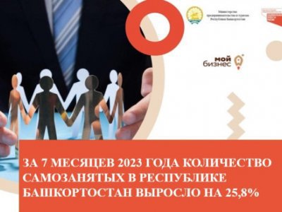 За 7 месяцев 2023 года количество самозанятых в Башкирии выросло на 25,8%