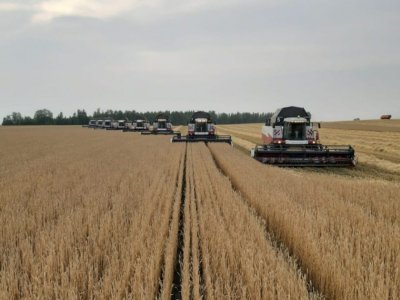 В следующем году аграрии Башкирии намерены собрать не менее 4 миллионов тонн зерна