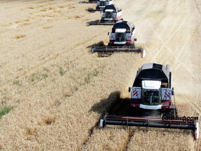 Урожай зерна в России превысил 153,8 млн тонн