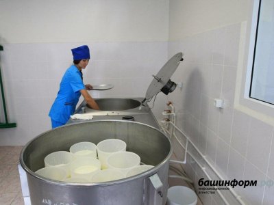 В Башкирии на обеспечение социальной молочной кухни в 2022 году направили 595 млн рублей