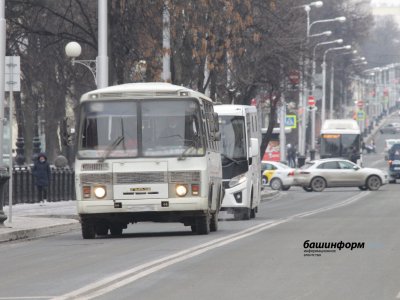 В Госдуме поддержали законопроект о нелегальных перевозчиках, предложенный Башкирией