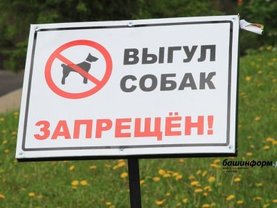 В Башкирии ужесточили требования к выгулу собак